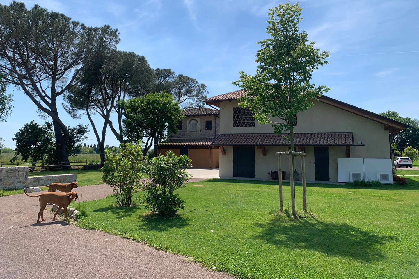 img-il-mulino-dopo-la-ristrutturazione-mulino-miceu